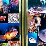 Estudio Molinos
