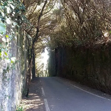 Estudio Molinos Σαν Κριστόμπαλ ντε Λα Λαγούνα