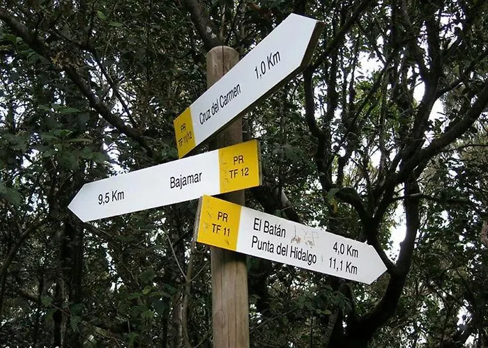 Estudio Molinos * La Laguna (Tenerife)