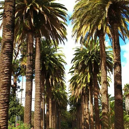 Apartment Estudio Molinos *