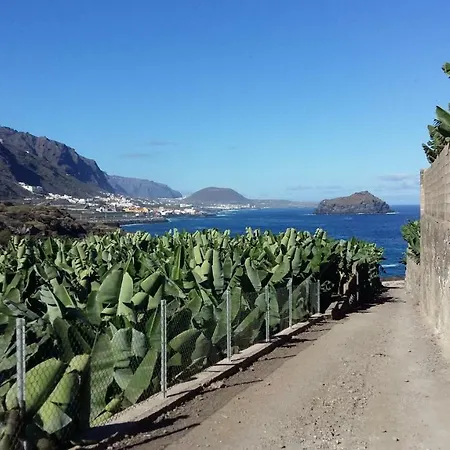 Estudio Molinos * La Laguna (Tenerife)