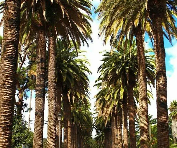 Apartment Estudio Molinos *