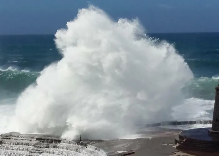 Lejlighed Estudio Molinos