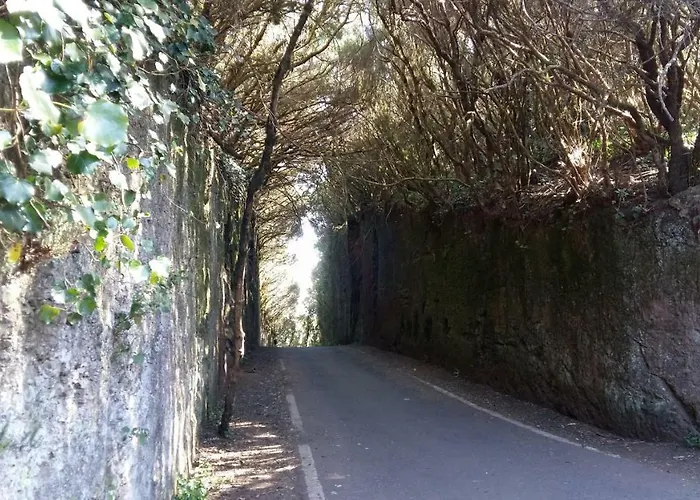 Estudio Molinos San Cristóbal de La Laguna