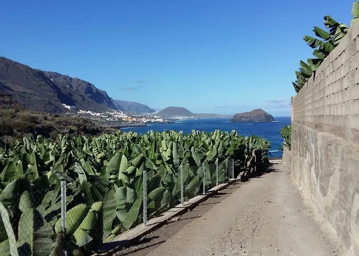 Estudio Molinos * La Laguna (Tenerife)