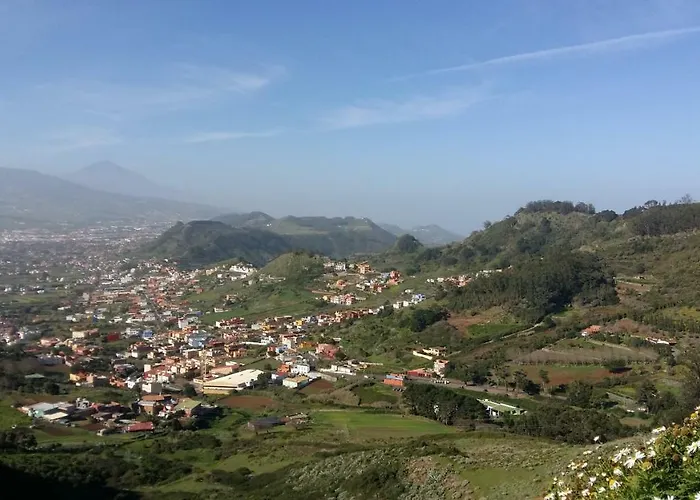 Estudio Molinos *